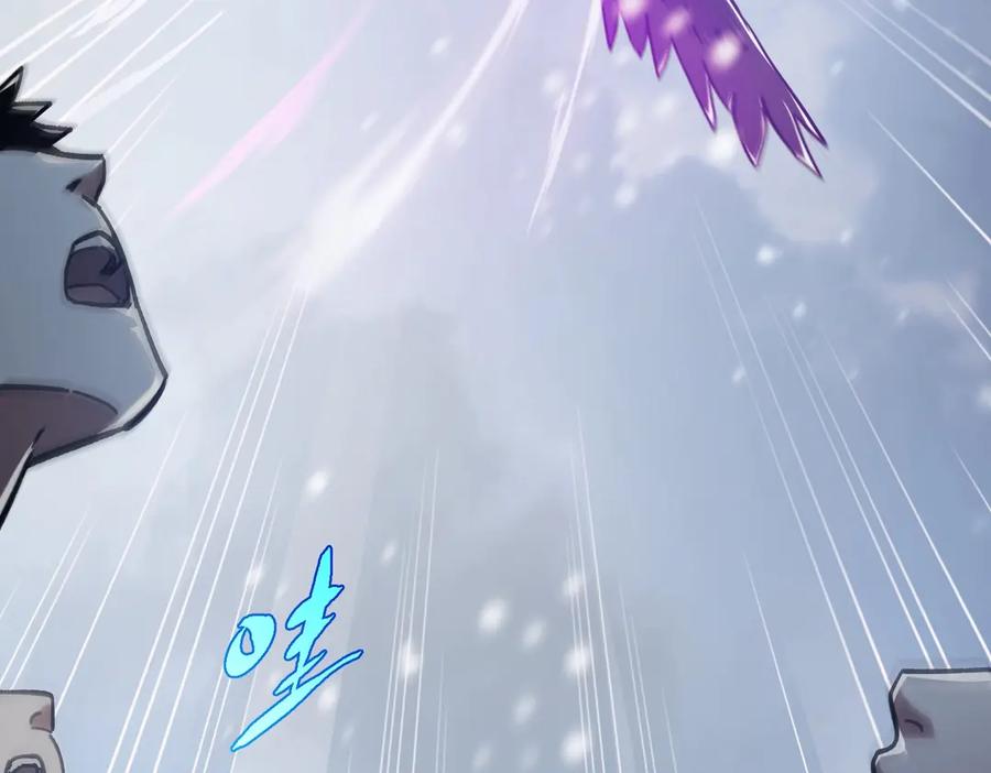 第202页