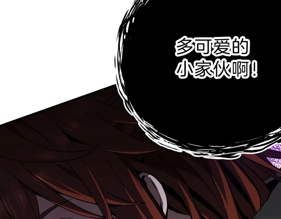第231页