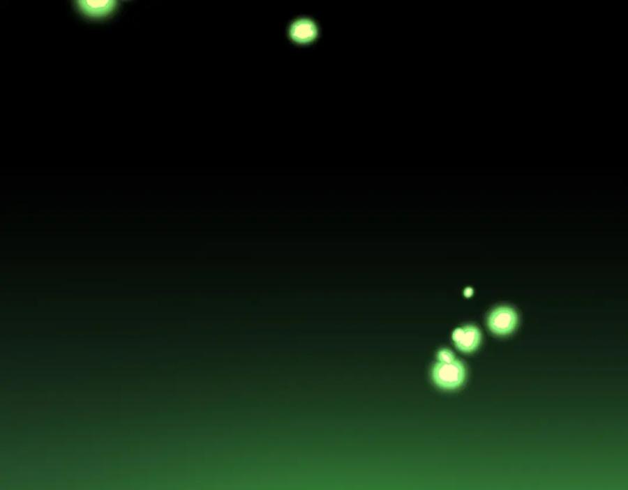 第175页