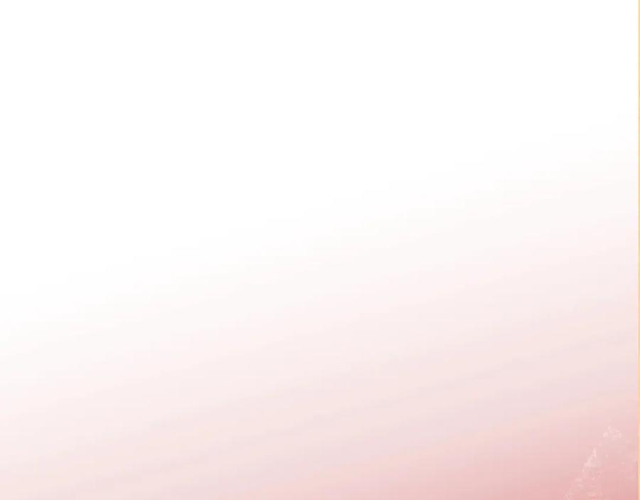 第238页