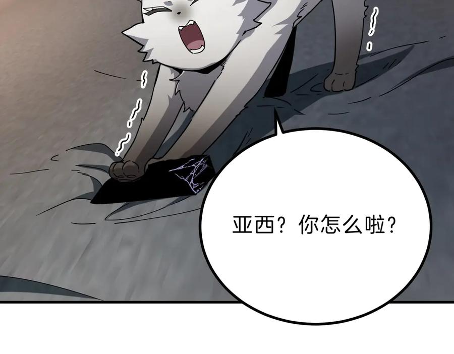 第191页