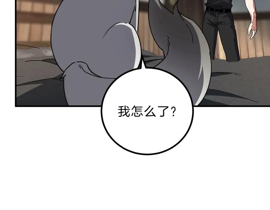 第194页