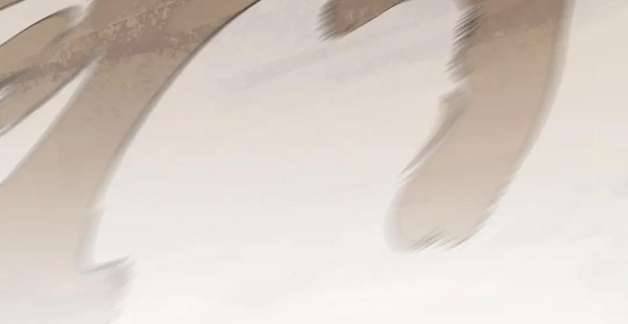 第243页