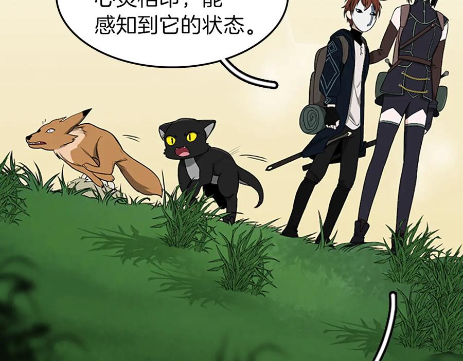 第204页