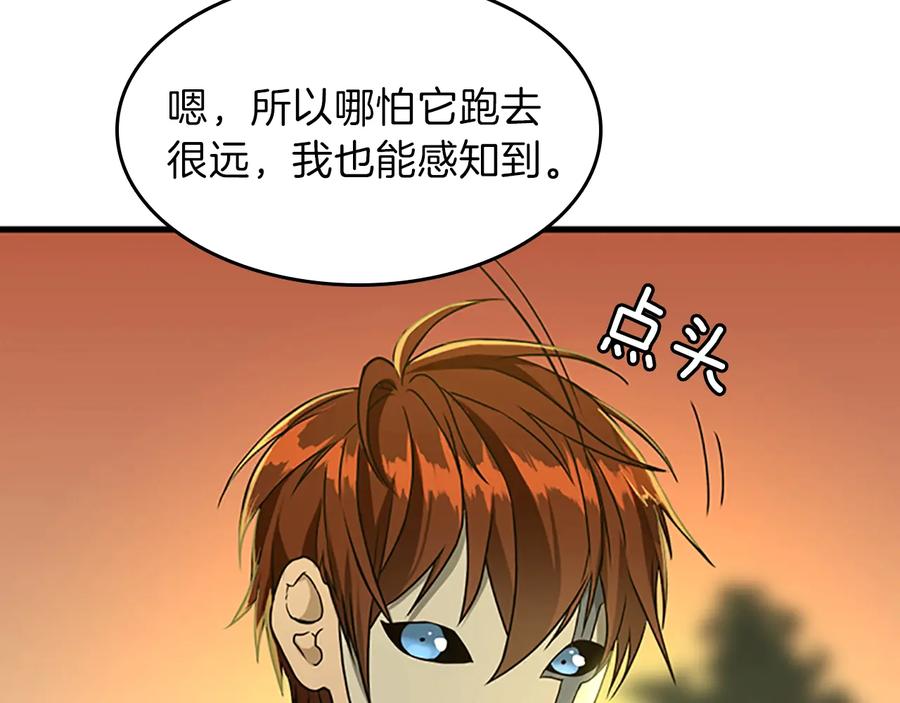 第206页
