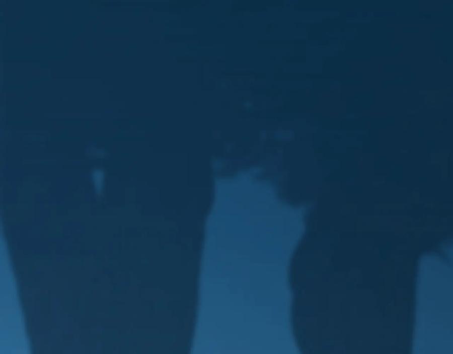 第207页