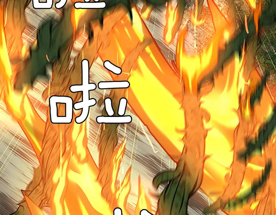 第202页