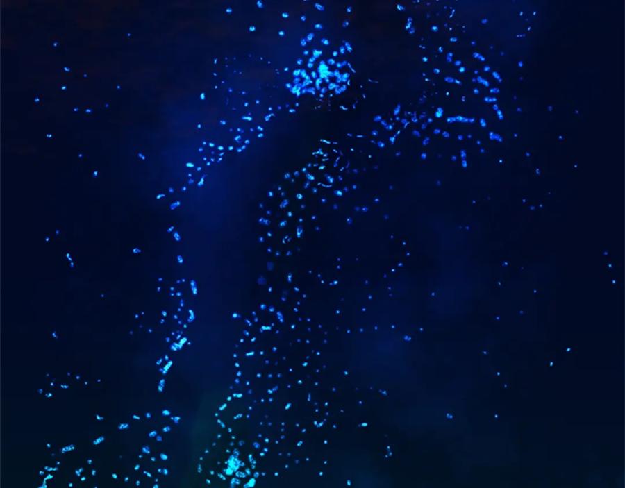 第92页