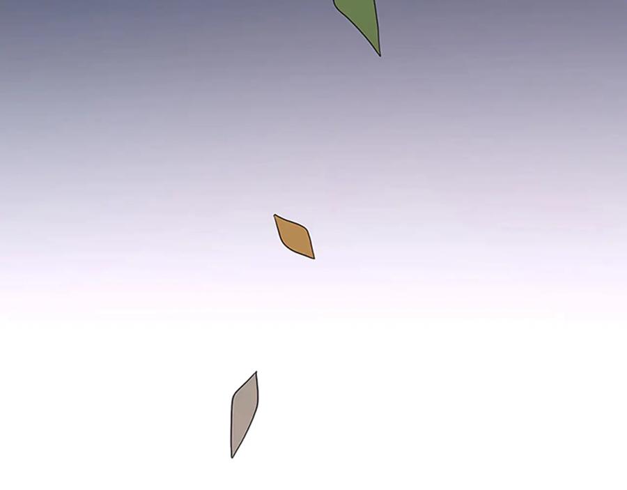 第211页