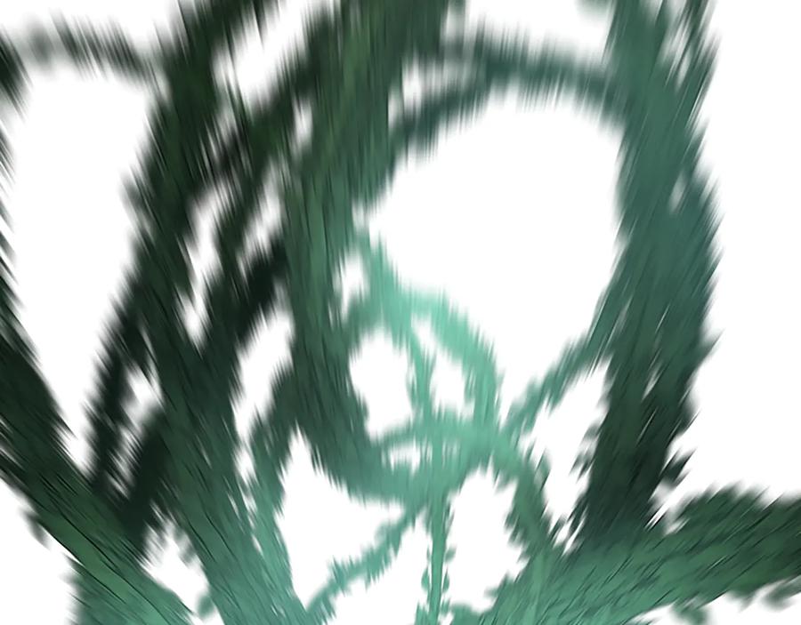 第214页