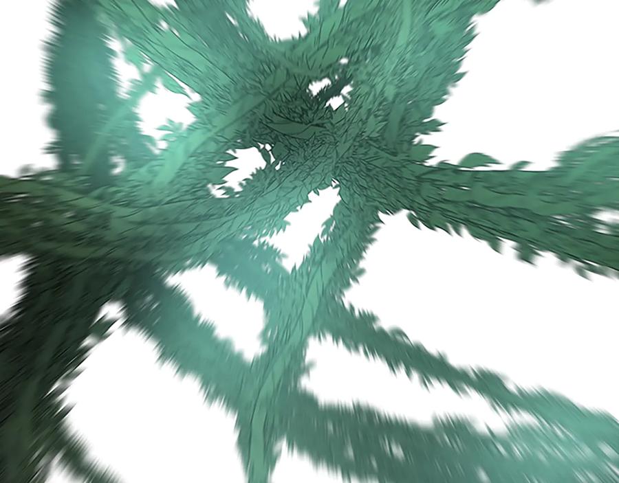 第215页