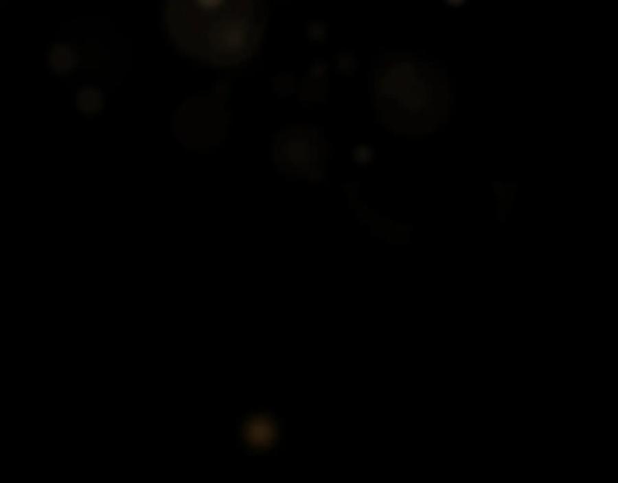 第223页