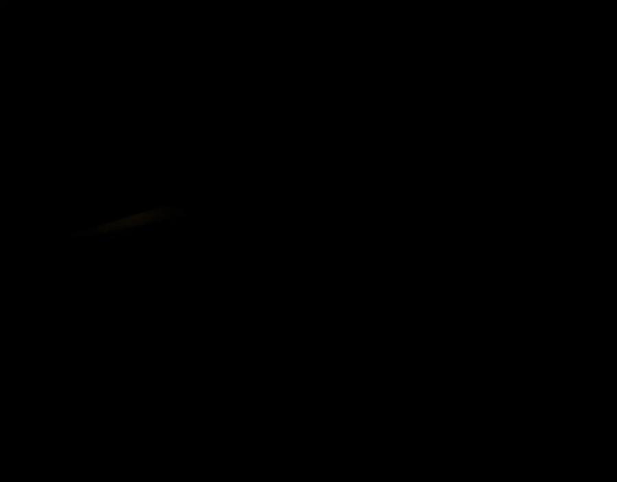 第224页