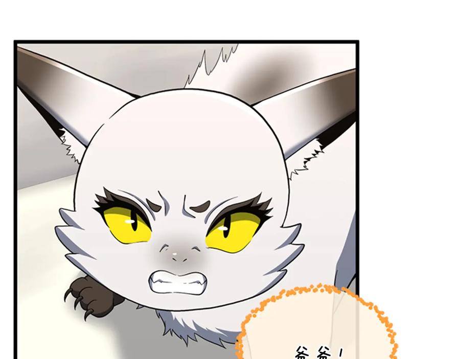 第194页