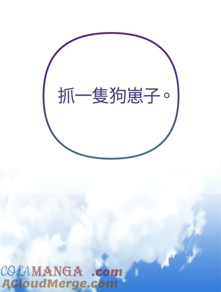 第205页