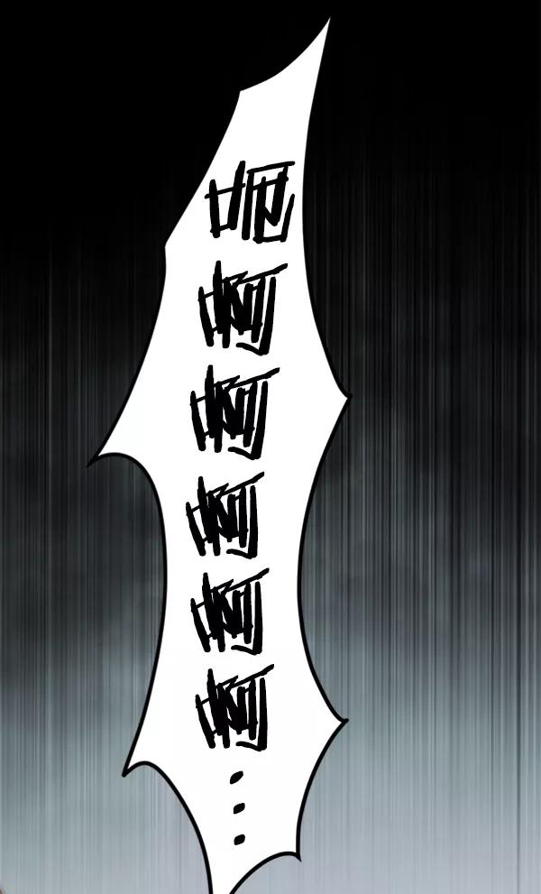 第231页