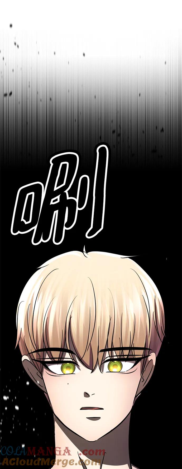 第217页
