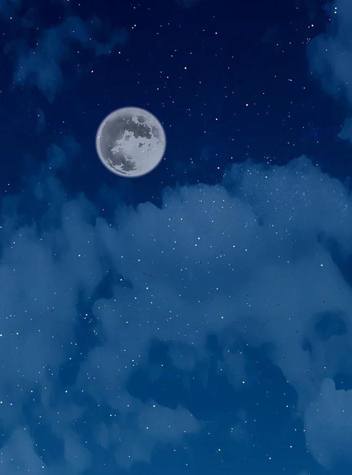 第50页