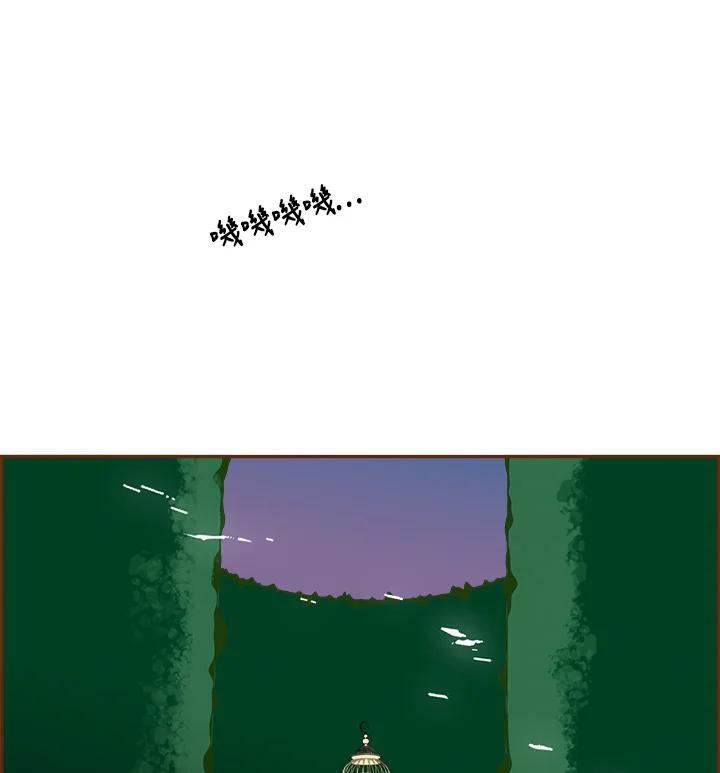 第213页