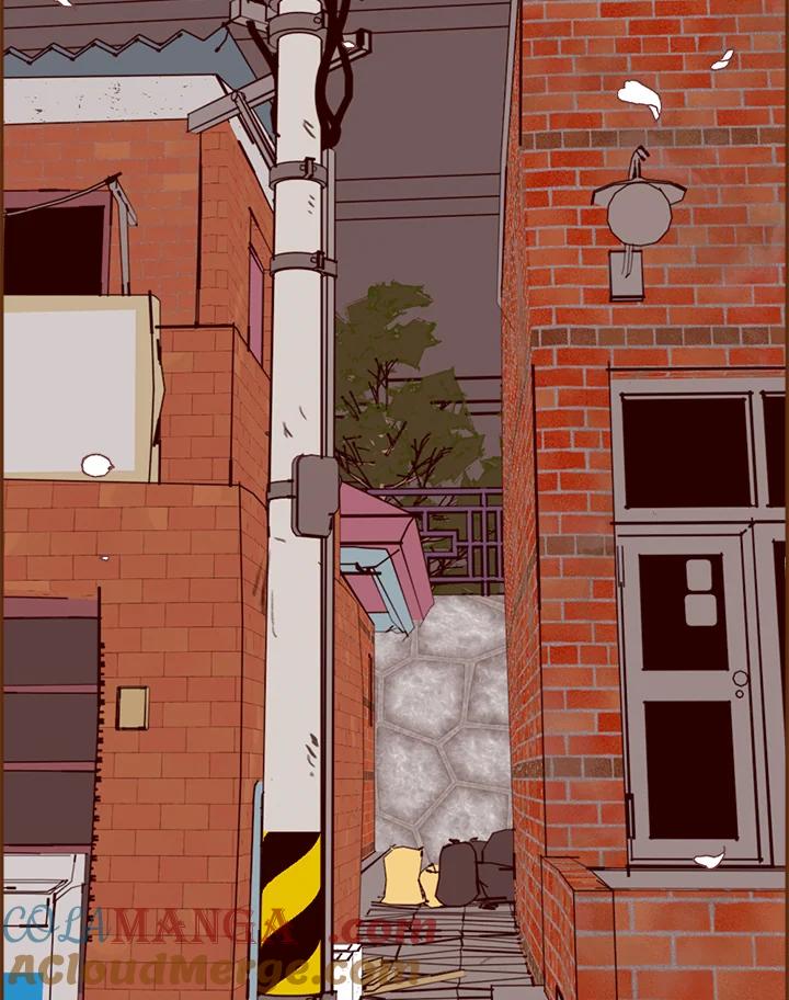 第185页