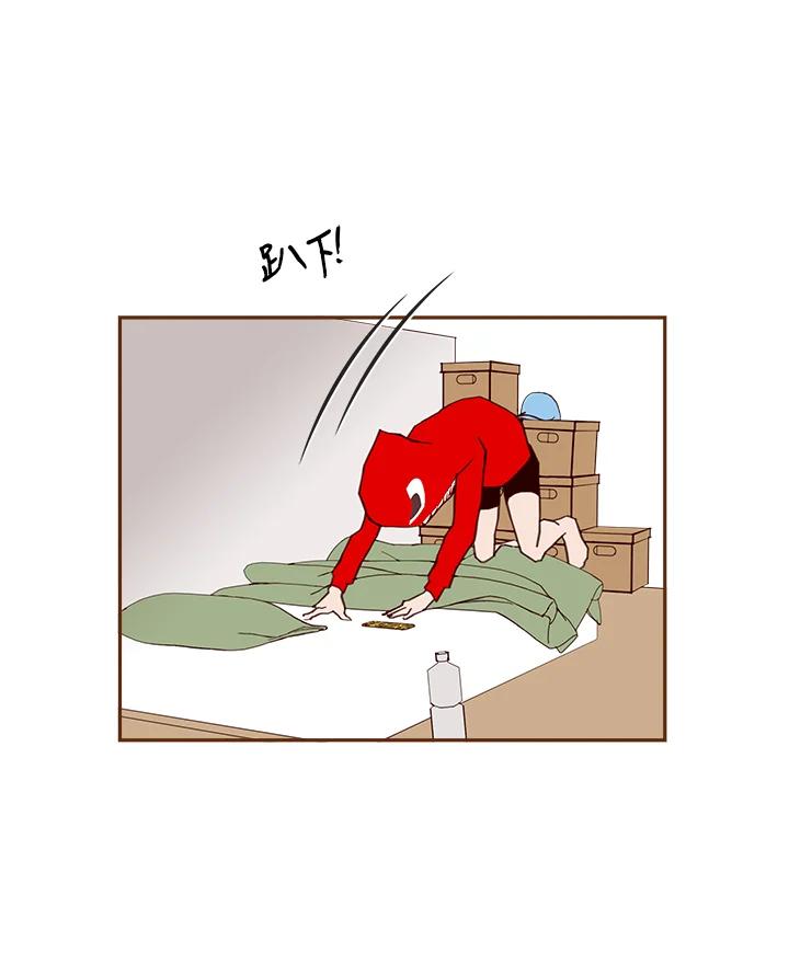 第47页