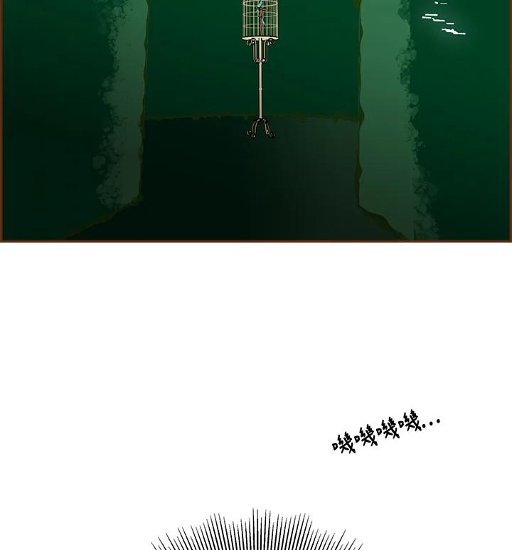 第216页