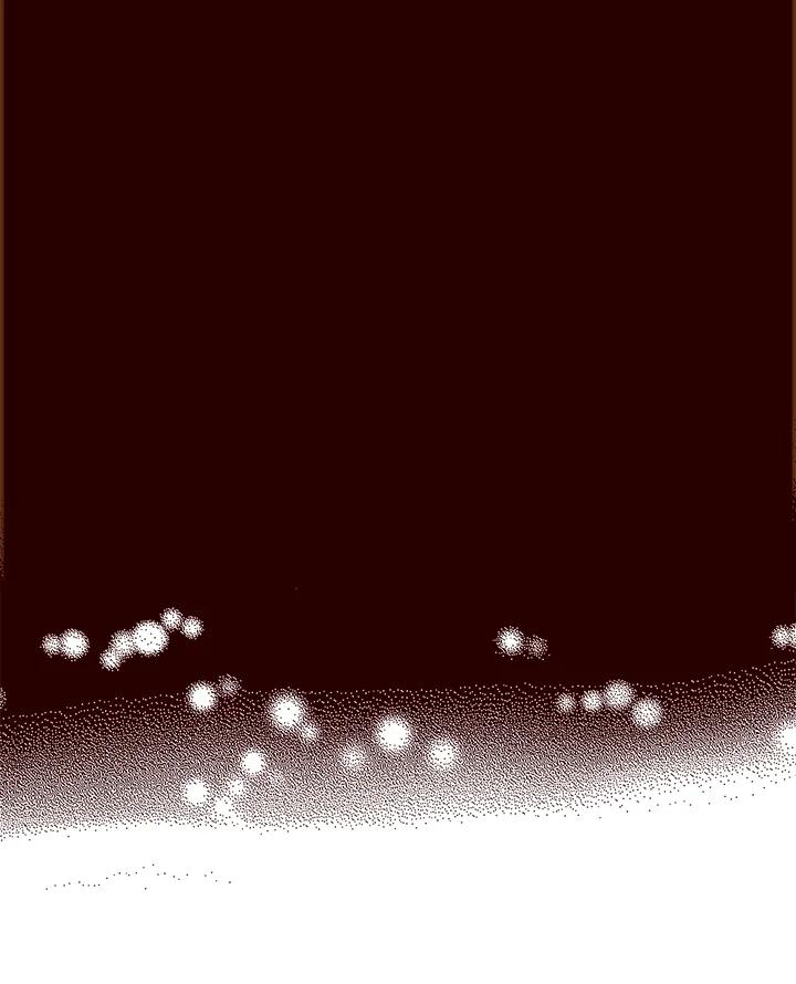 第203页