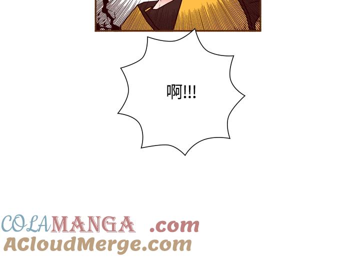 第213页