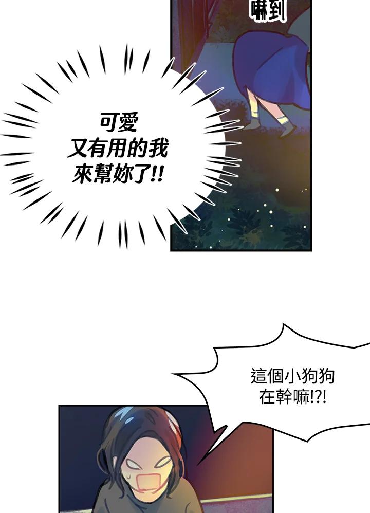 第53页
