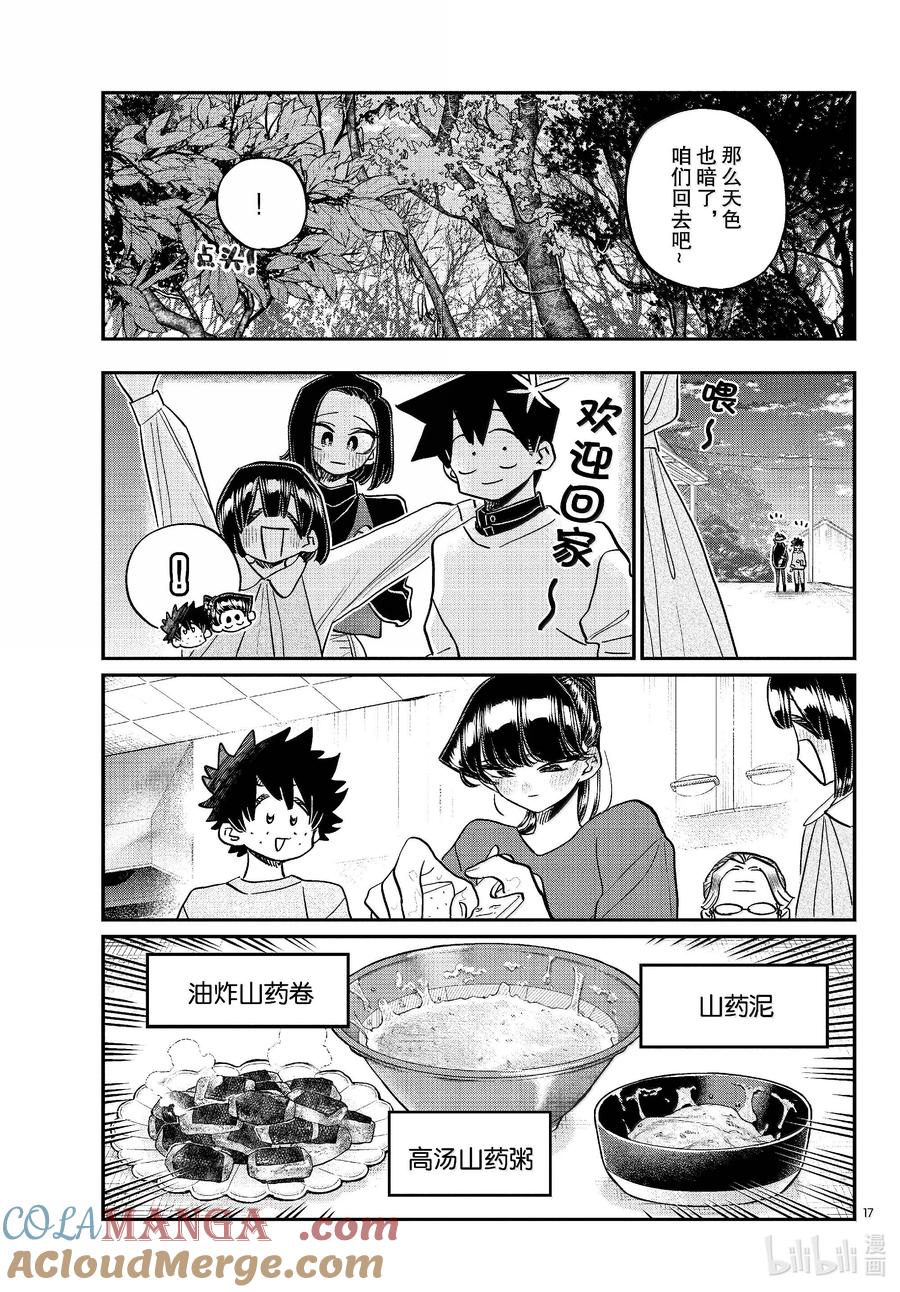 第17页