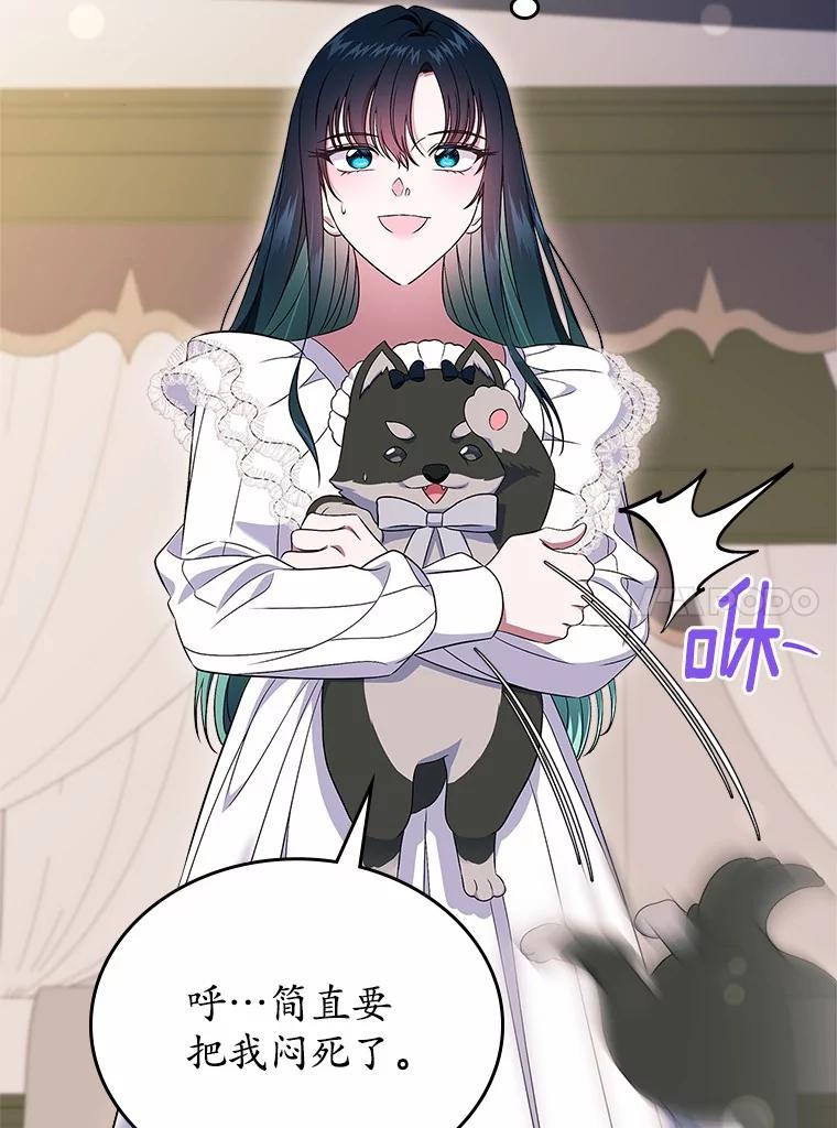 第135页