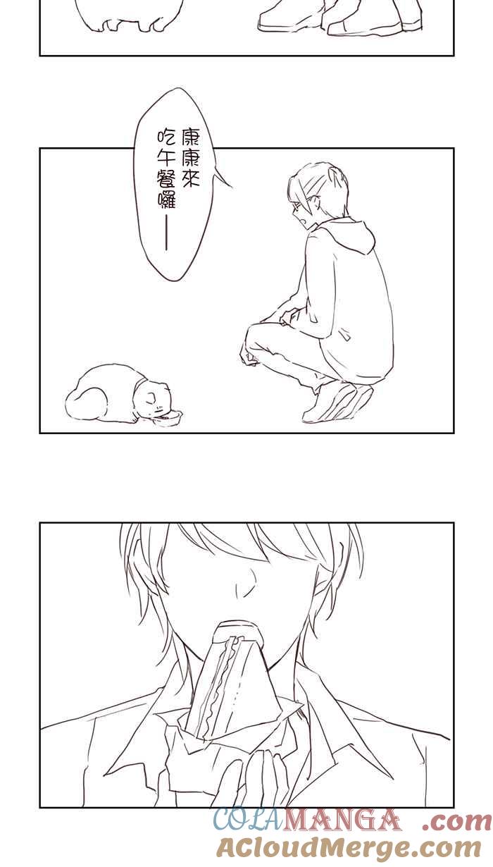 第43页