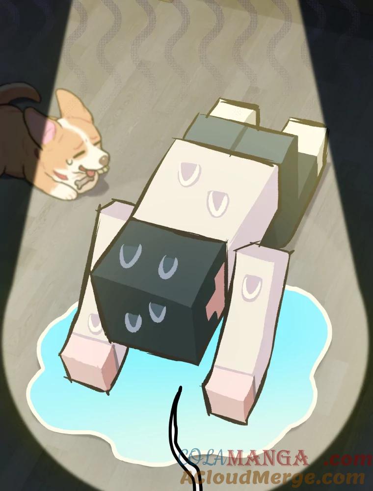 第161页