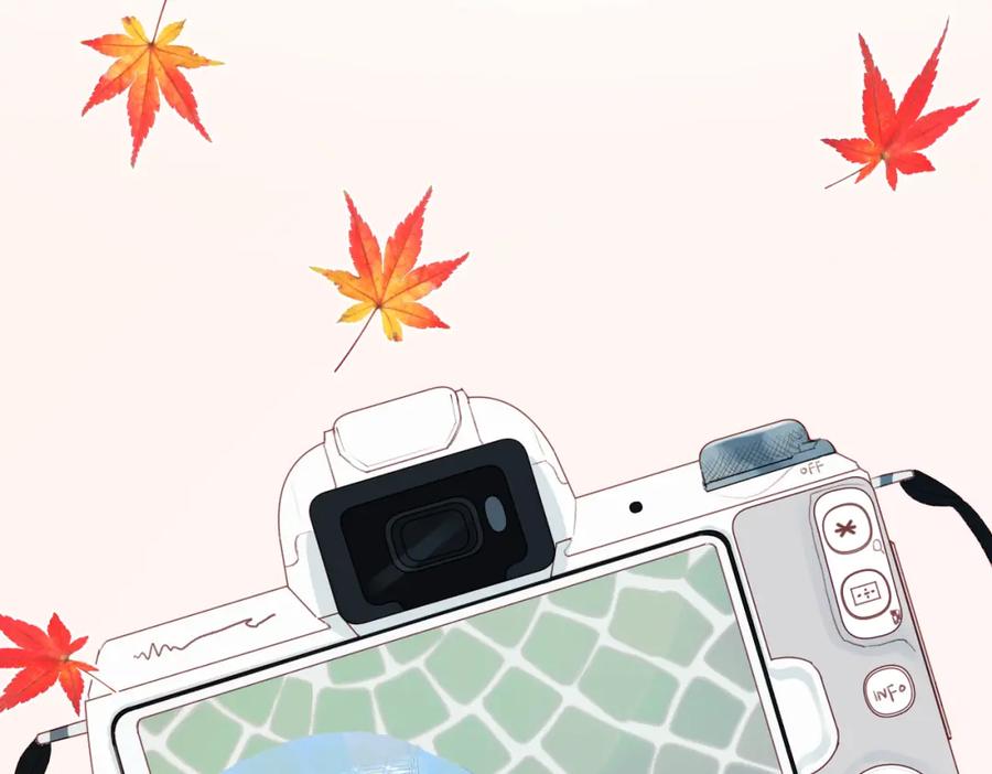 第50页