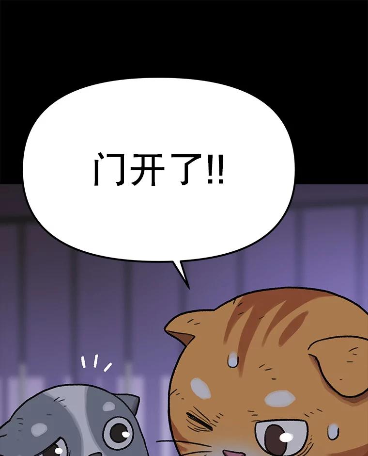 第233页