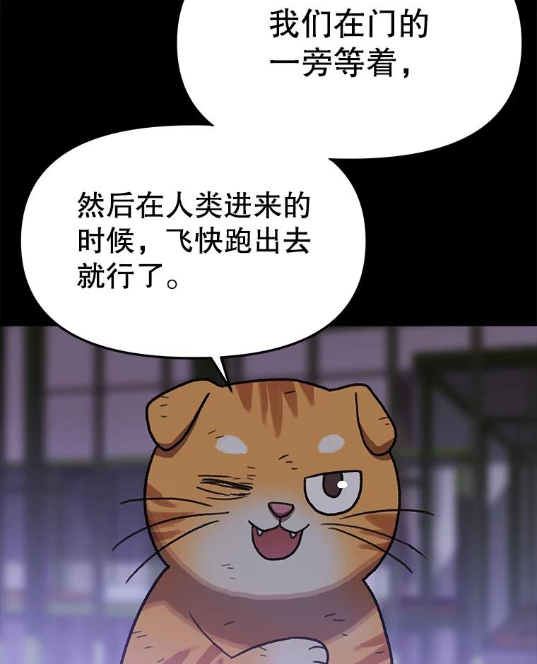 第249页