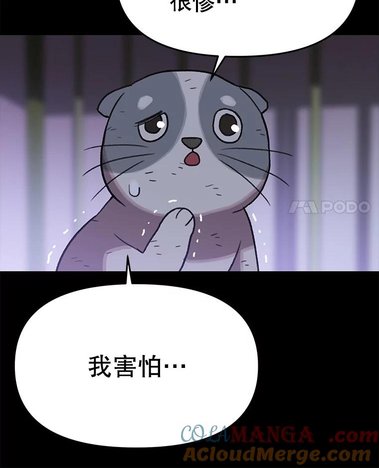 第257页