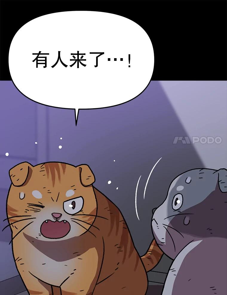 第285页