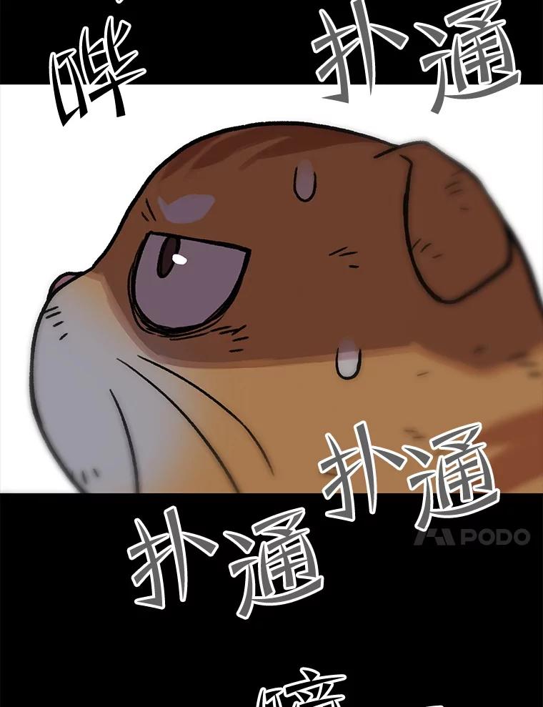 第297页