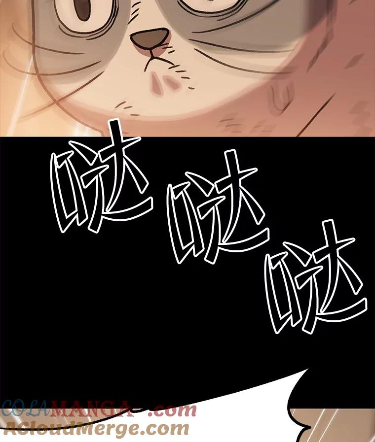 第337页