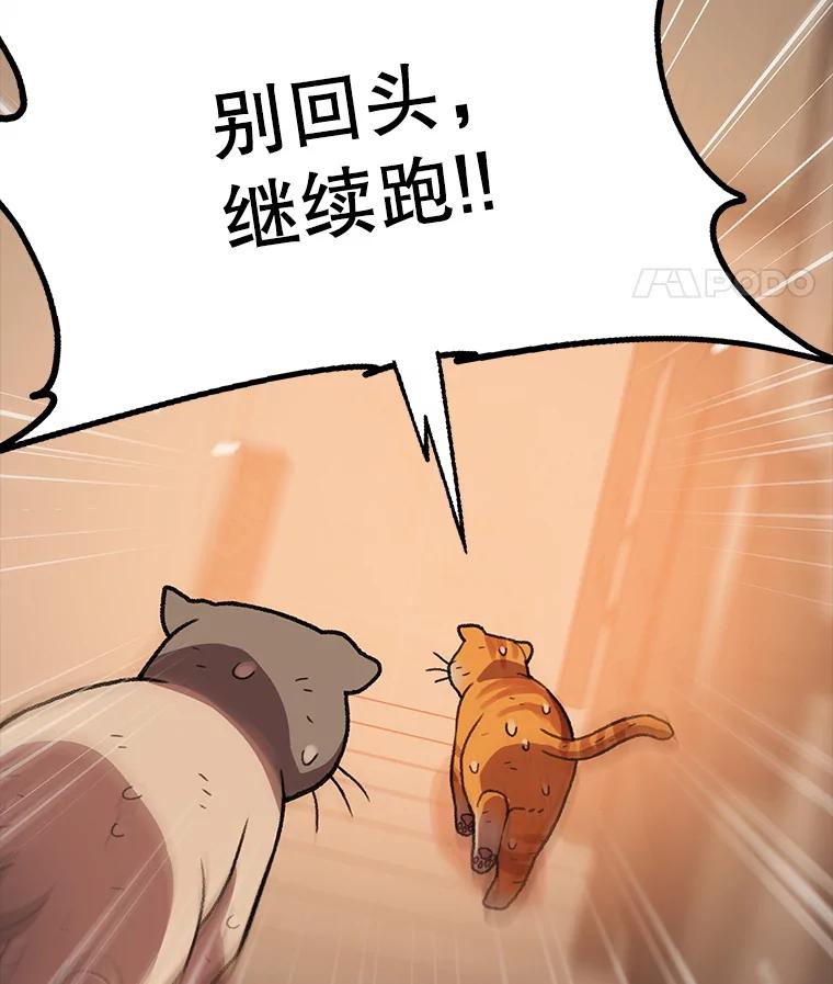 第341页