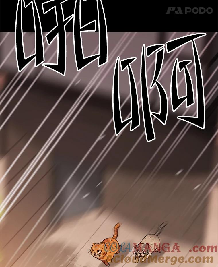 第385页