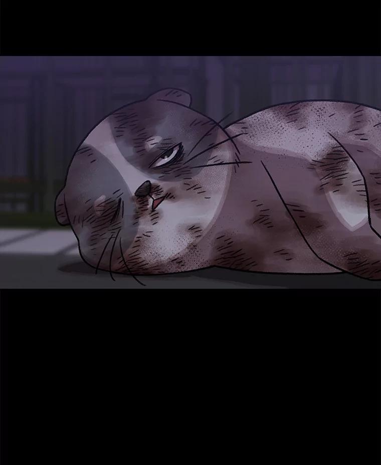 第249页