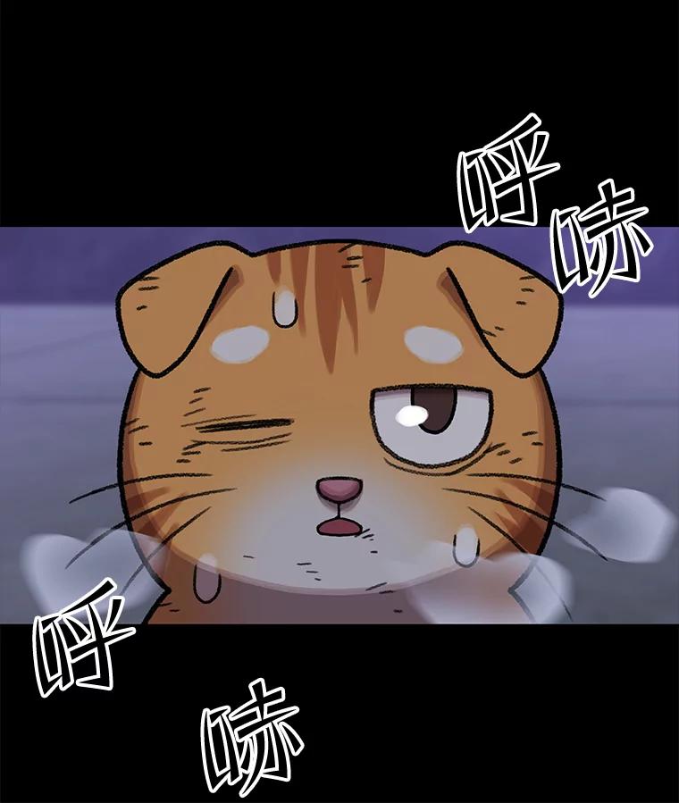 第313页