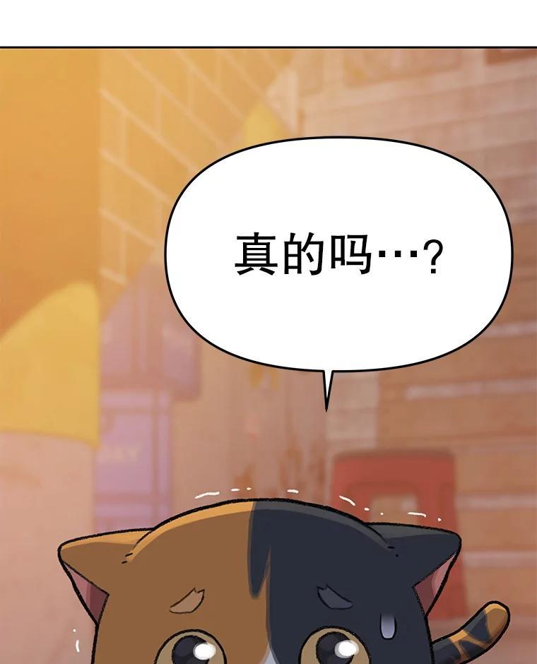第233页