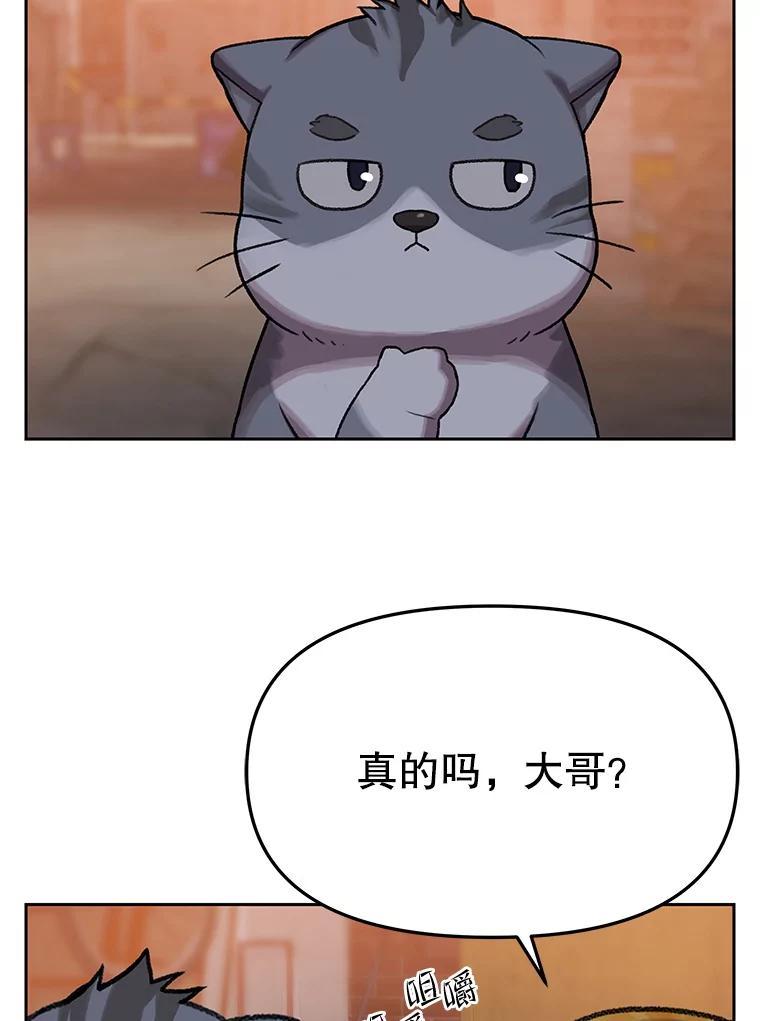 第333页