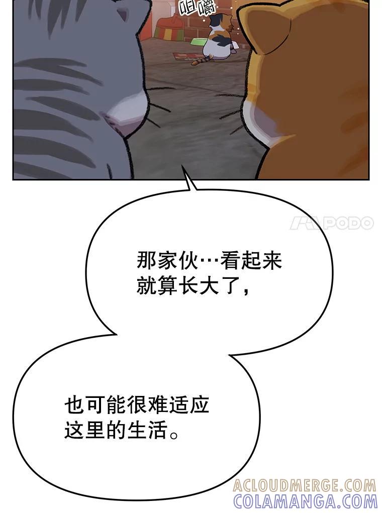 第337页