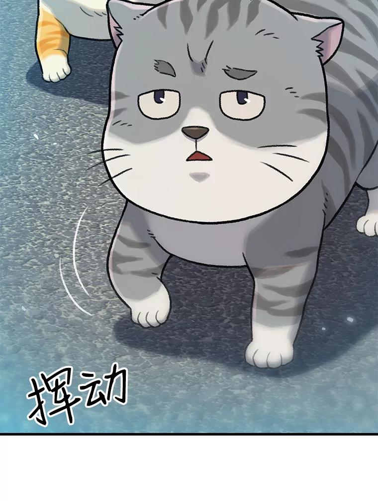 第231页