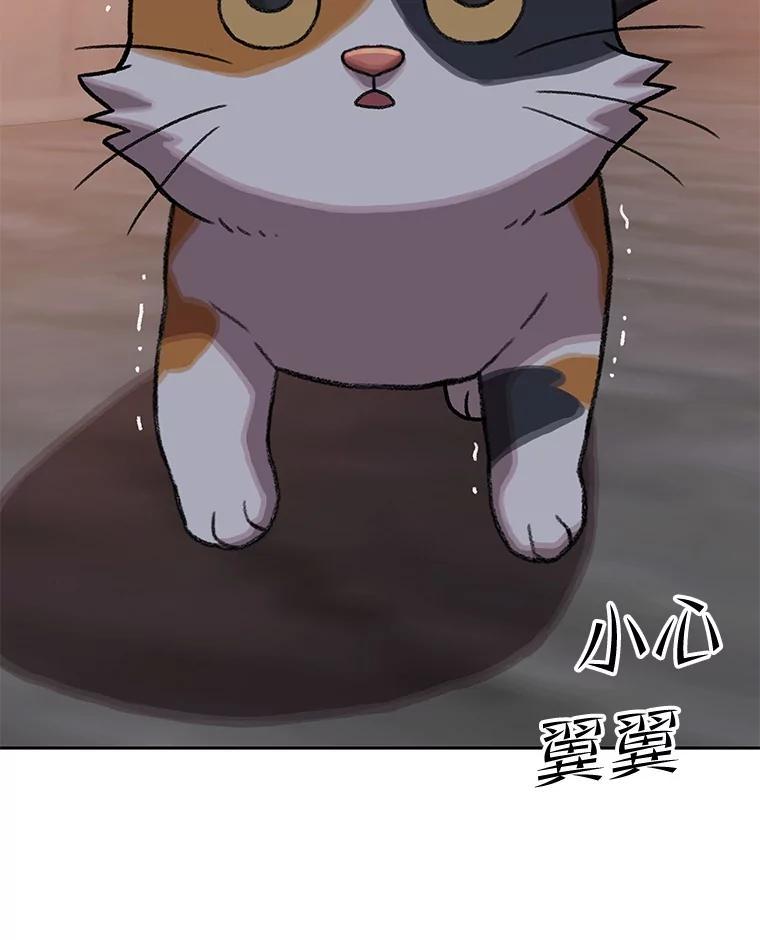 第238页