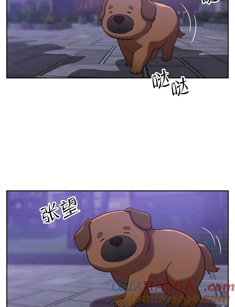 第195页
